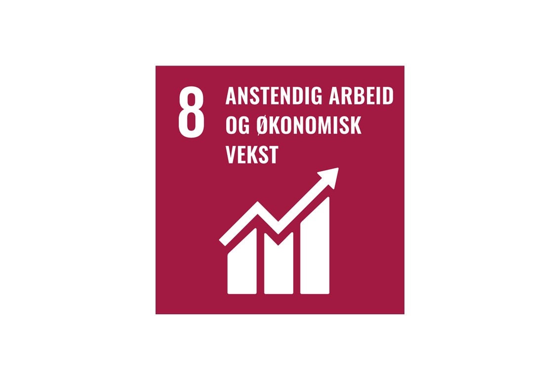 FNs bærekraftsmål 8 Anstendig arbeid og økonomisk vekst